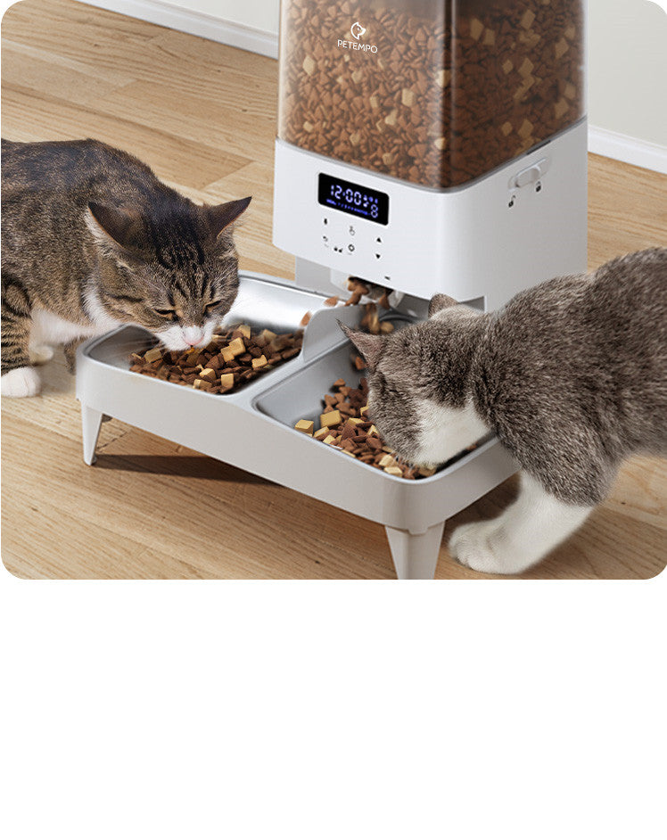 automatic-cat-feeder